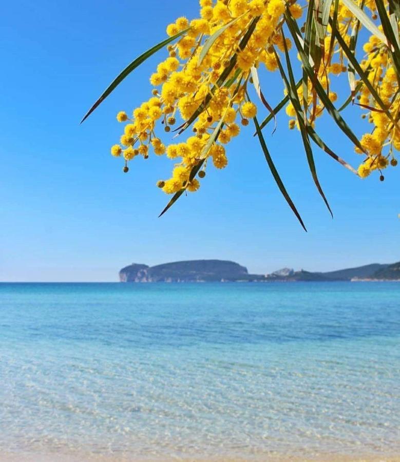 Casa Vacanze Calik Alghero Fertilia Eksteriør bilde
